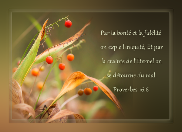 Verset Bibliques Proverbes