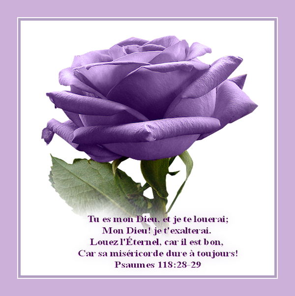 Versets Bibliques Fleurs