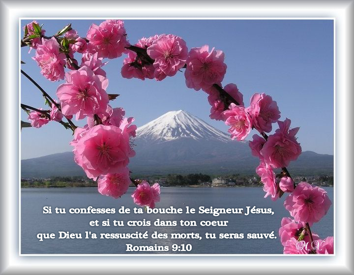 Versets Bibliques