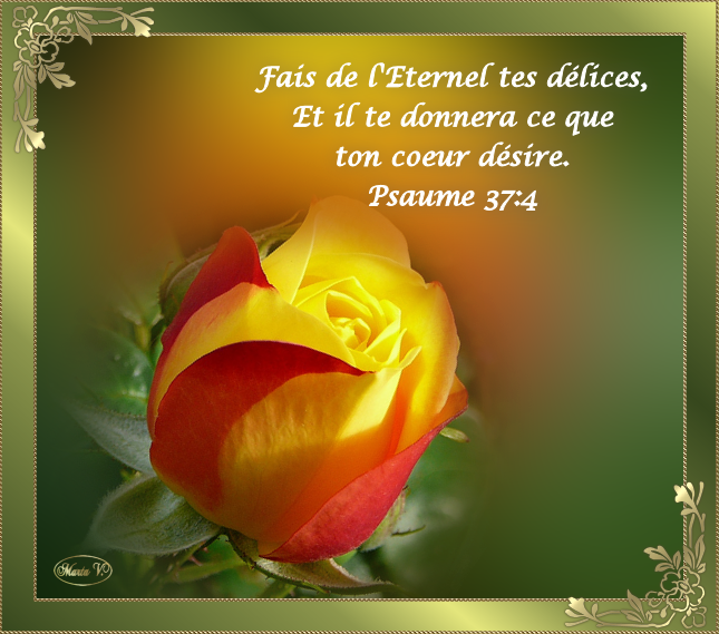 Versets Bibliques Fleurs