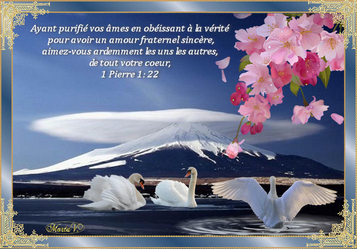 versets bibliques